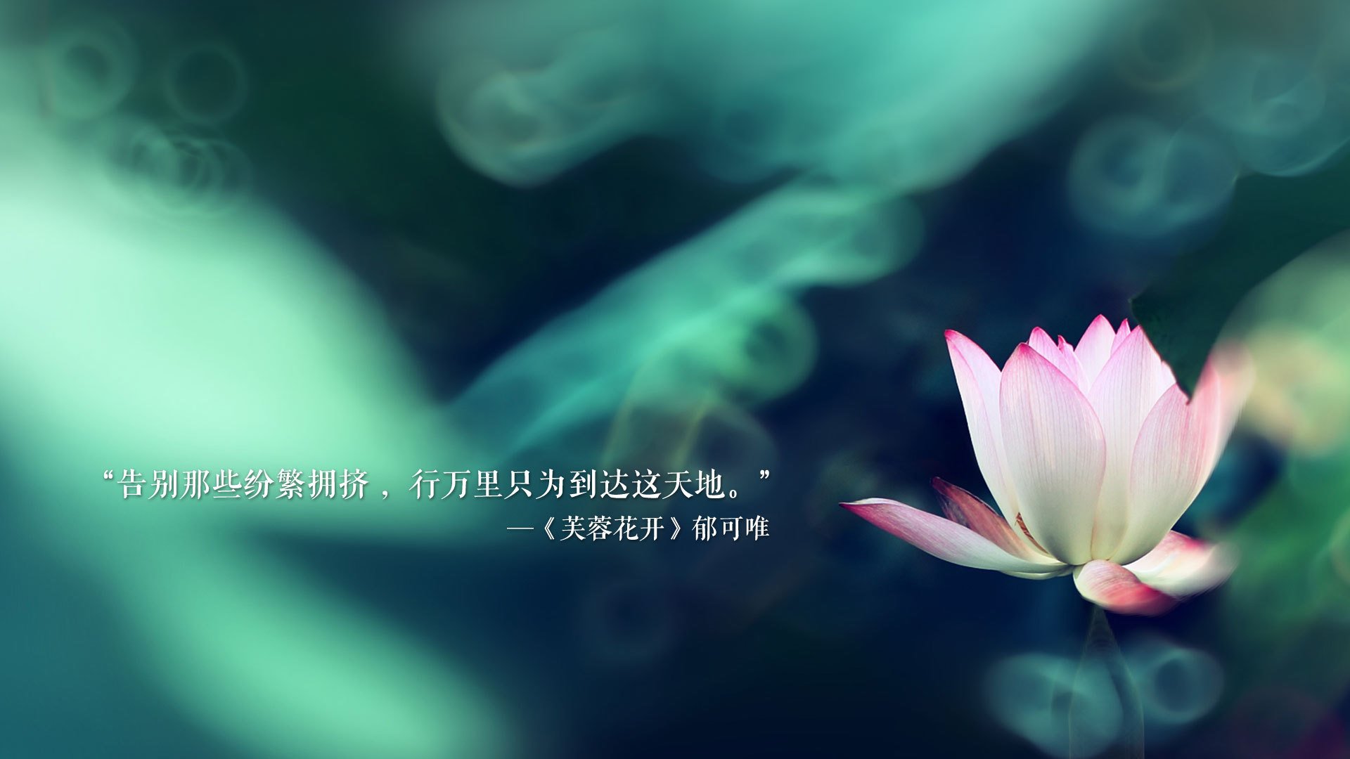 世俱杯2025赛程-车迷故事：那些令人感动的支持瞬间，小车迷的故事