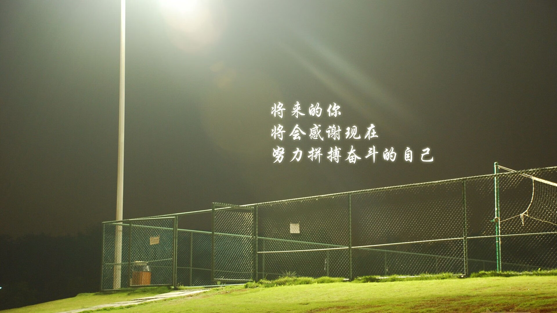 惊心动魄：黄蜂与老鹰的比赛或将打出高潮，黄蜂vs老鹰预测