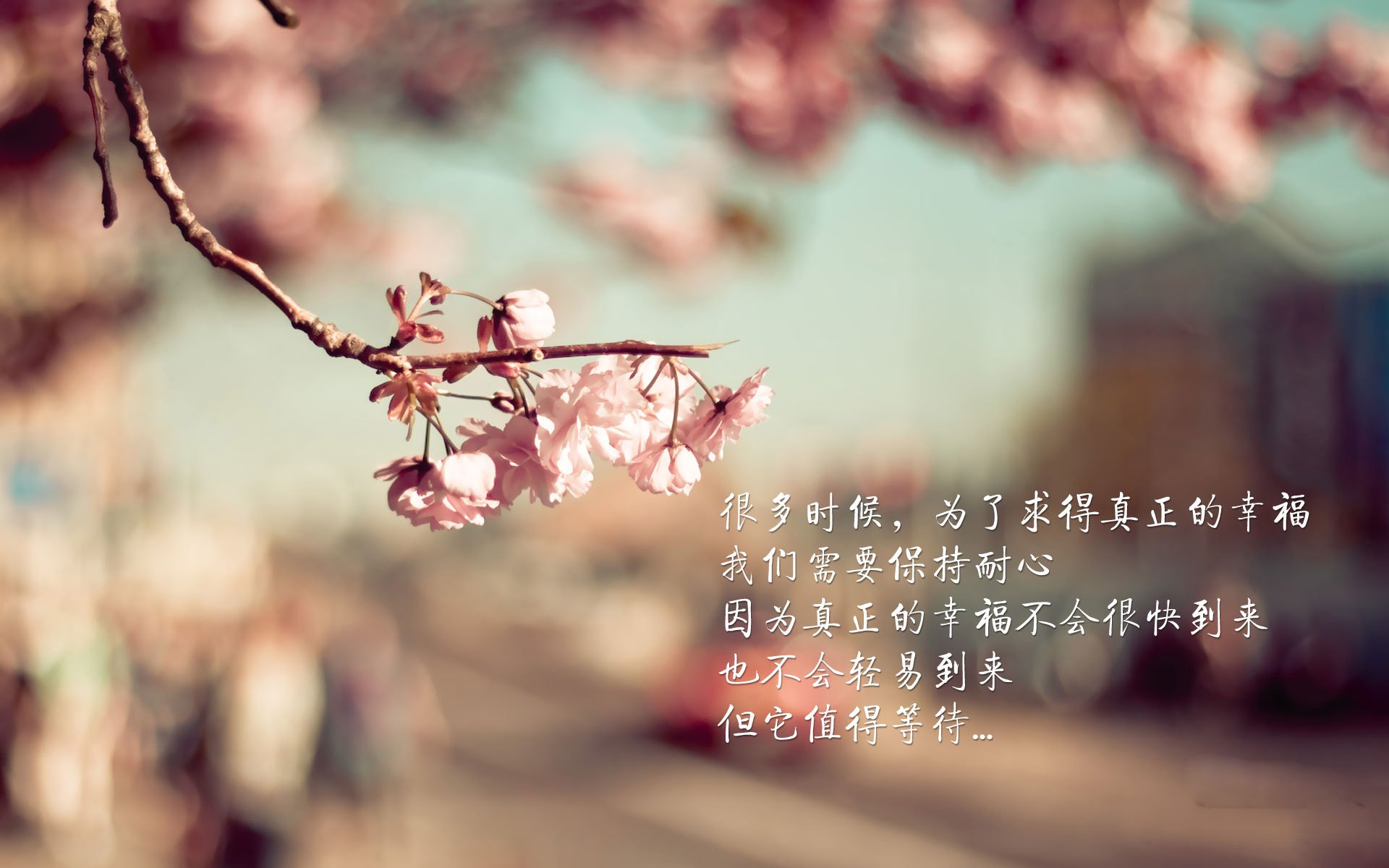世俱杯直播-沙特阿拉伯队在阿拉伯盃赛场遭遇困境，战绩不佳，沙特阿拉伯12强赛