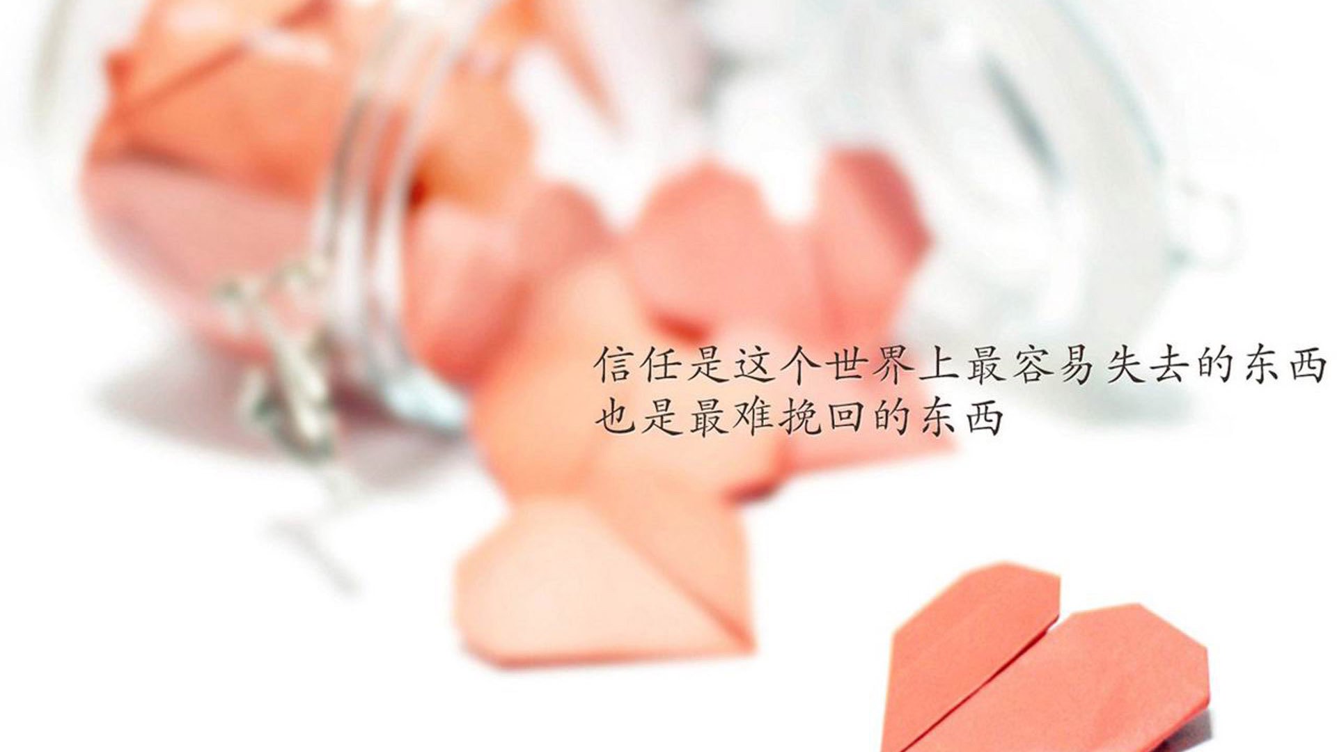 非洲篮球联赛观众人数创新高，非洲篮球联赛观众人数创新高的原因