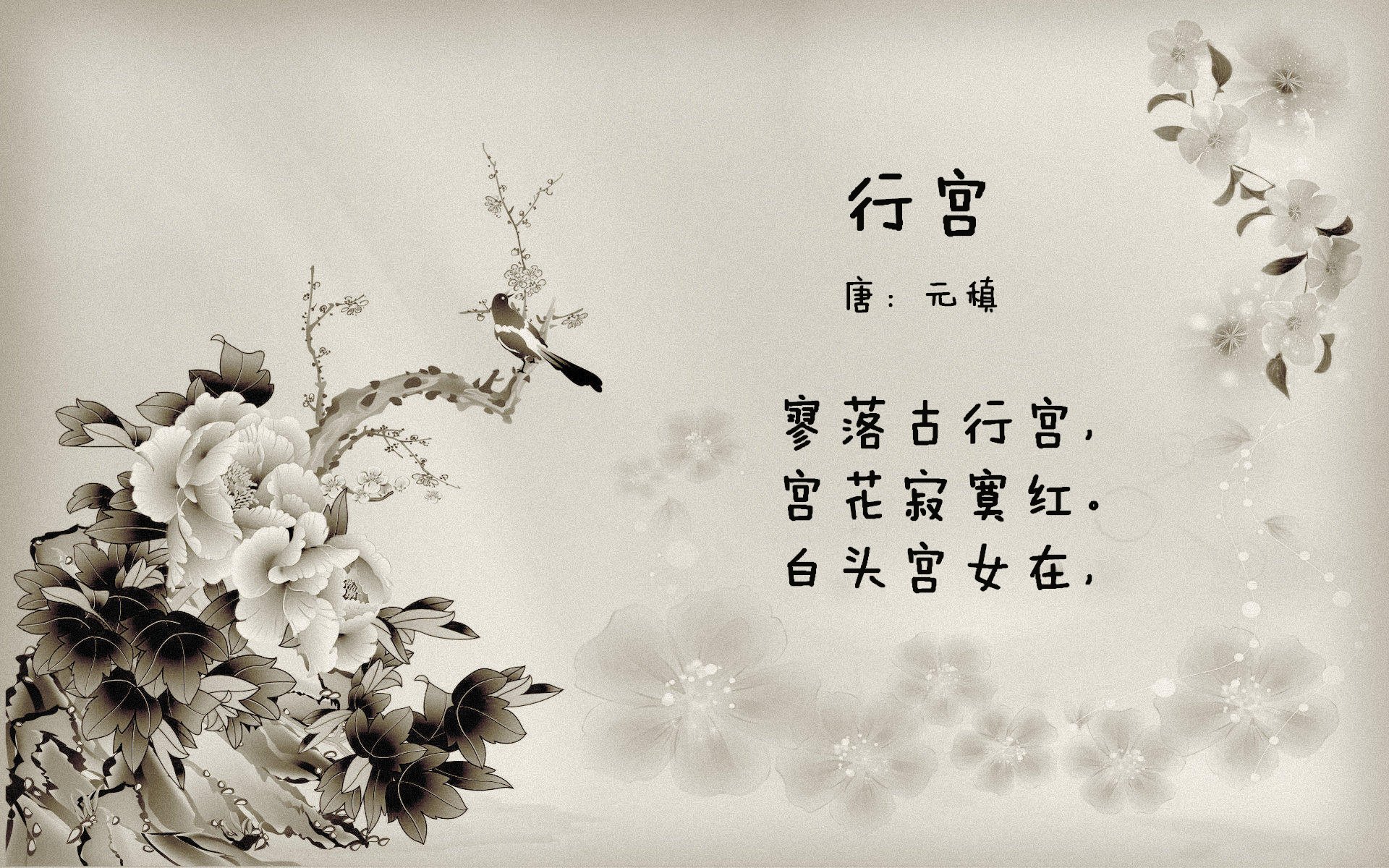 世俱杯足球赛事在线直播-女子篮球联赛季后赛激烈，女子篮球比赛日程