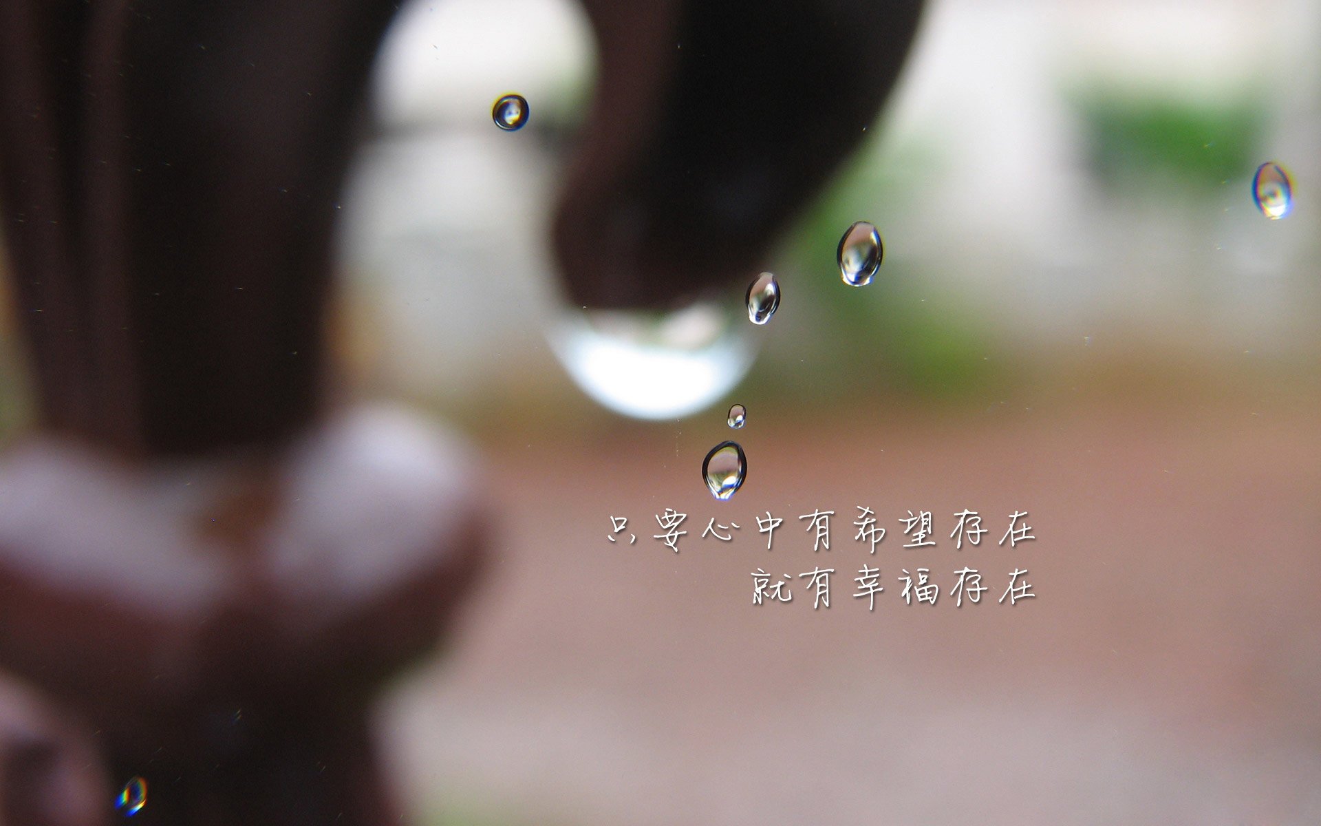 世俱杯-布克强势复出太阳东部前四稳固，太阳布克合同
