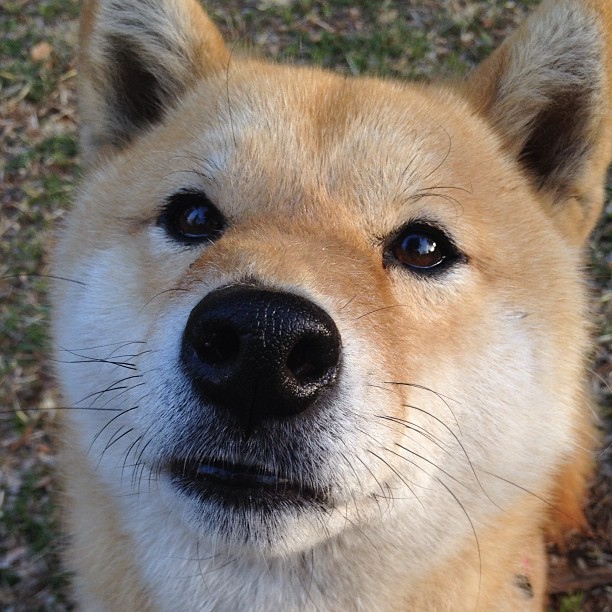 世俱杯2025赛程-赛场纪律管理趋于规范，赛场纪律管理趋于规范的问题