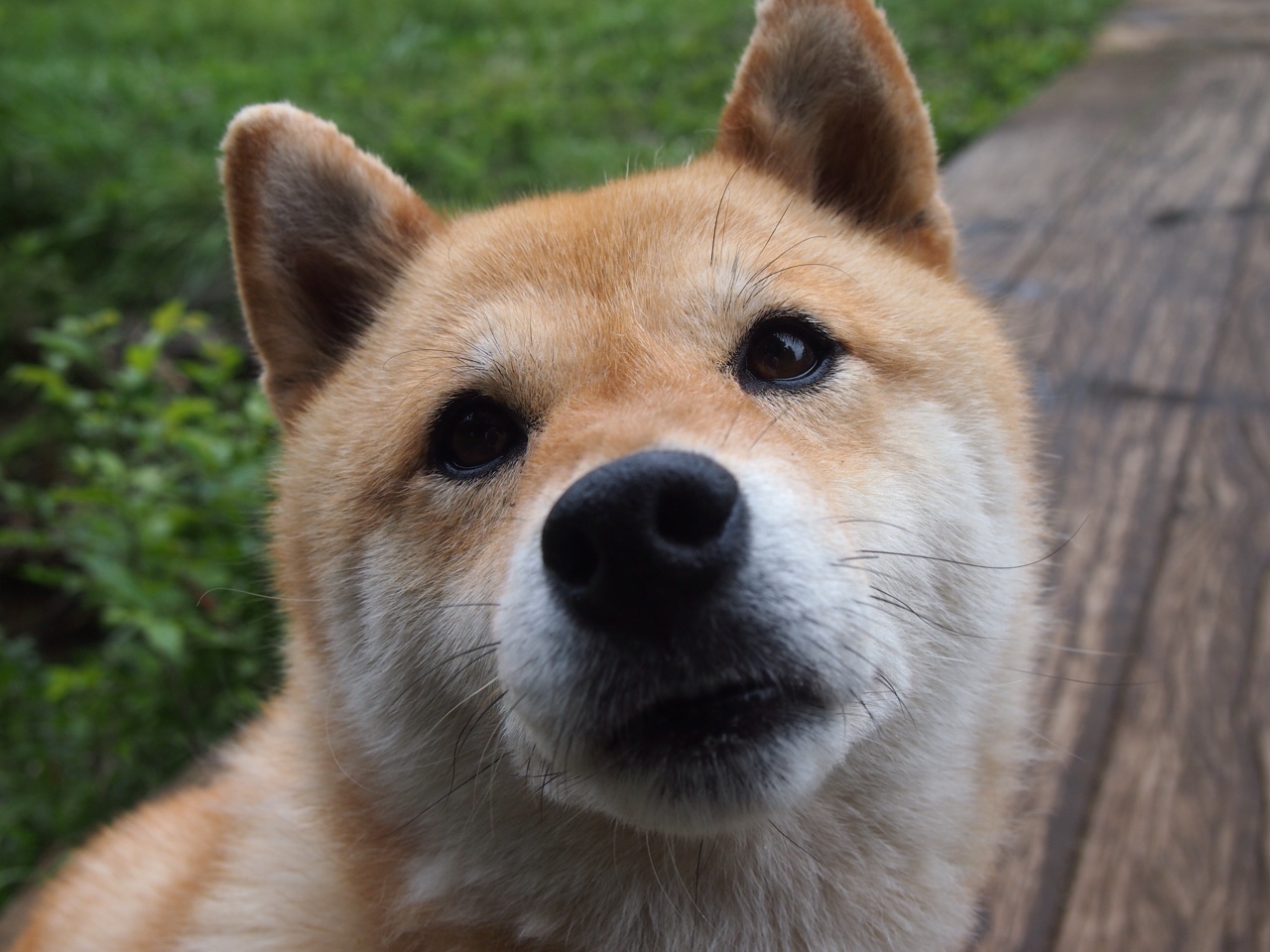 世俱杯网址-黎巴嫩男篮在西亚锦标赛中奋勇突破，争取奥运资格，黎巴嫩男篮对中国男篮